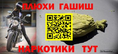 герыч Кингисепп