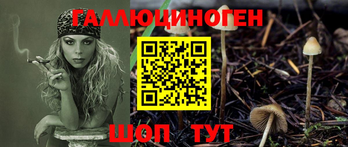 Галлюциногенные грибы Magic Shrooms  Вход с VPN  Кудрово 