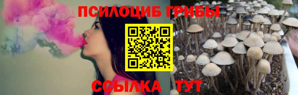 Псилоцибиновые грибы GOLDEN TEACHER Кудрово