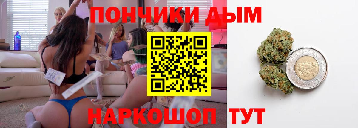 Канабис OG Kush Кудрово